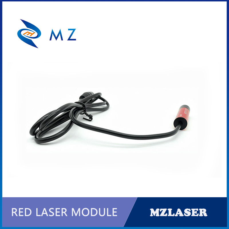 635nm 5mw Industrial Diode Adj - Industrial Laser Pointer 리뷰 및 가격